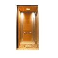 Miroir Porte de cabine en acier inoxydable Small Home Elevator ascenseurs